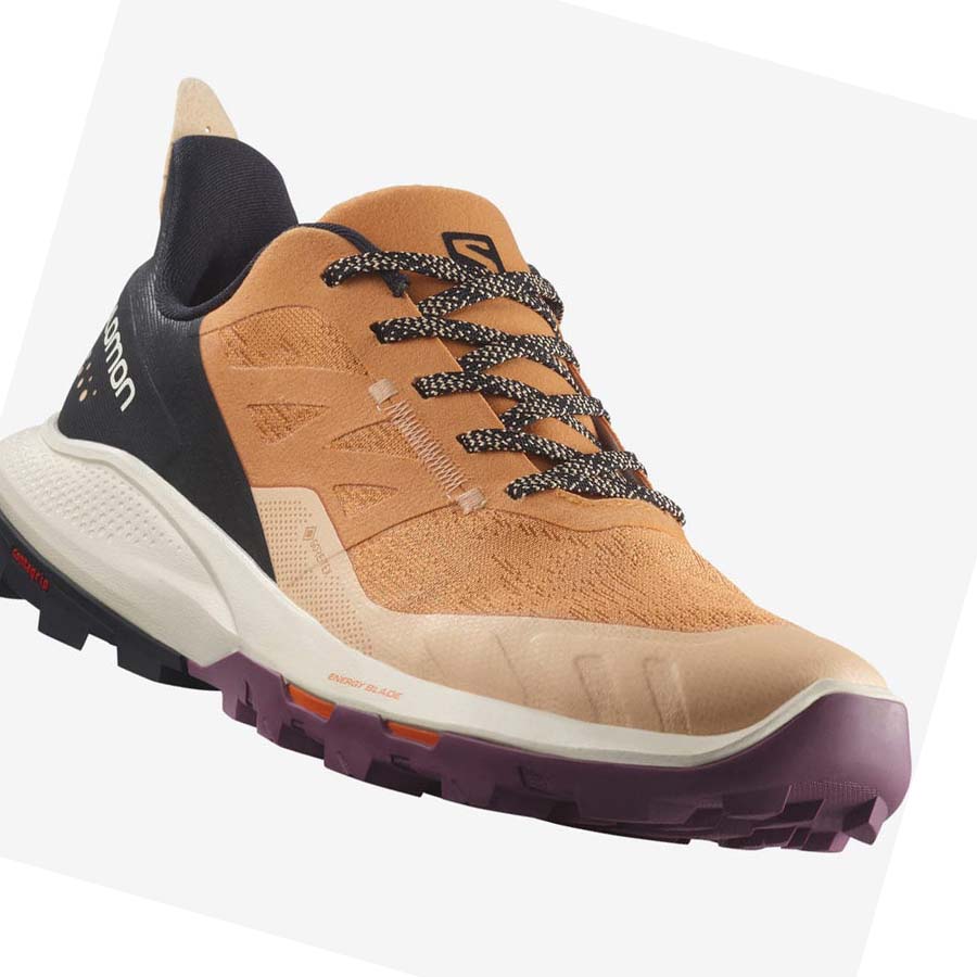 Salomon WoOUTPULSE GORE-TEX Kadın Yürüyüş Ayakkabısı Kahverengi | TR 2839AHK